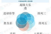 互联网彩票市场规模有多大_如何持续增长
