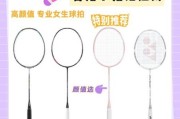 羽毛球拍怎么选_羽毛球初学者买什么价位