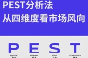 软件行业pest分析怎么做_软件企业如何应对政策风险