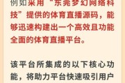 体育网站如何优化_体育行业SEO怎么做