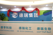 吐鲁番瑞德化轻有限公司怎么样_吐鲁番瑞德化轻有限公司产品有哪些