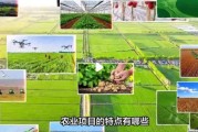 农业行业前景如何_农业创业项目有哪些