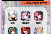 动漫游戏行业如何赚钱_二次元手游推广怎么做