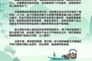 网上买茶叶靠谱吗_如何辨别真假茶