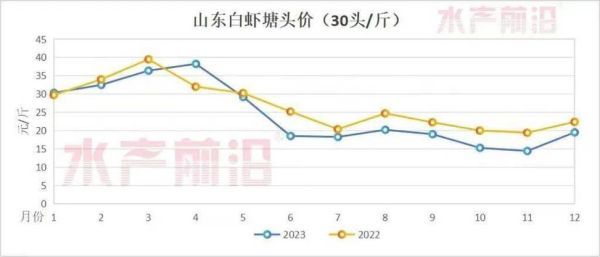 2024年虾价走势预测_养虾利润高吗