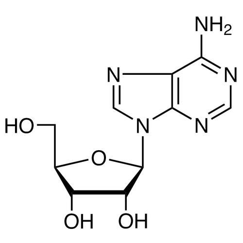 腺苷是什么_腺苷前景如何