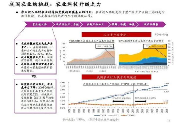中国农业发展前景如何_未来农业投资机会在哪