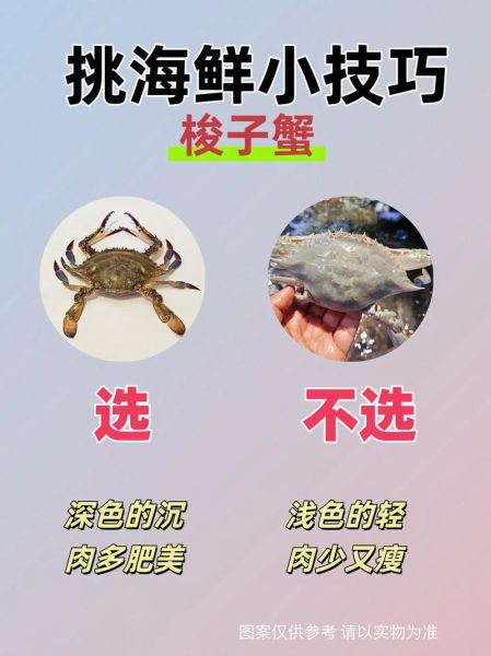 水产品批发渠道有哪些_如何挑选优质海鲜