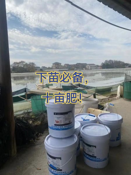 水产养殖如何选苗_水产饲料哪种好