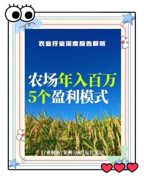 有机产业如何盈利_有机农业创业前景怎么样