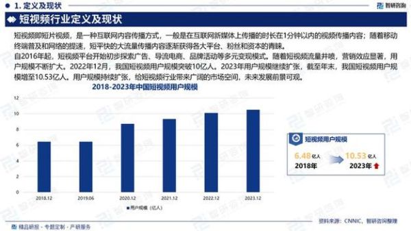 互联网视频行业分析报告_2024年用户增长趋势