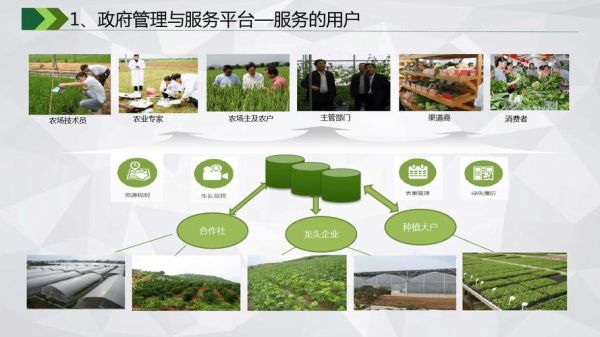 互联网农业报告_智慧农业如何落地