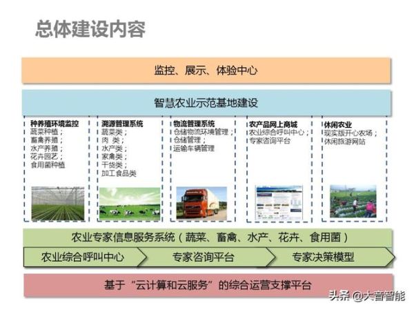 互联网农业报告_智慧农业如何落地