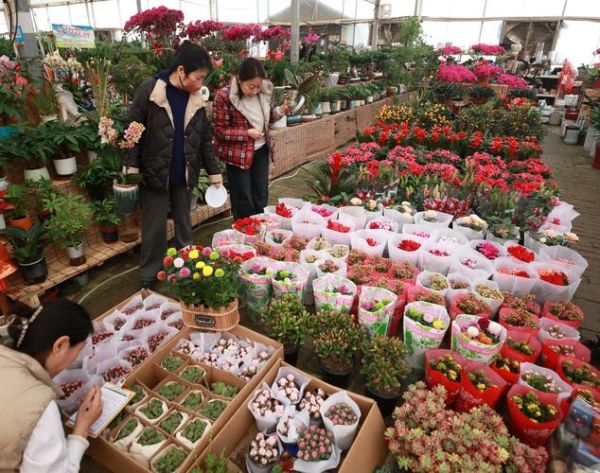 假花市场前景怎么样_2024假花行业赚钱吗