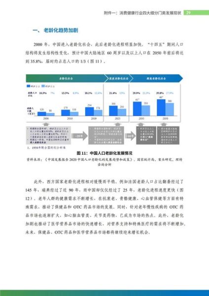 中国行业分析报告怎么写_2024年最新模板