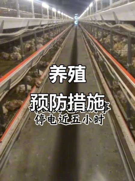 畜牧业常见风险有哪些_如何降低养殖损失