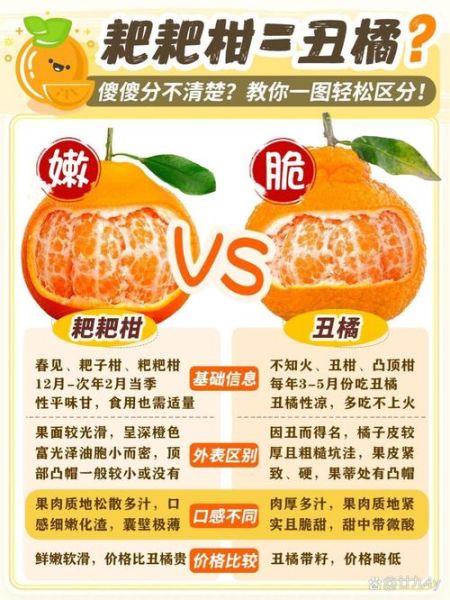 脐橙种植有哪些风险_如何降低脐橙市场风险