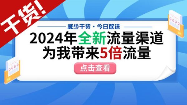 互联网发展迅猛_如何抓住SEO流量红利