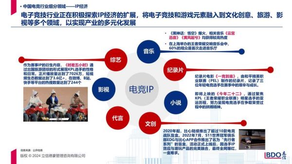 电竞行业发展前景如何_电竞选手退役后做什么
