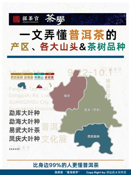 普洱茶市场前景怎么样_普洱茶投资潜力大吗