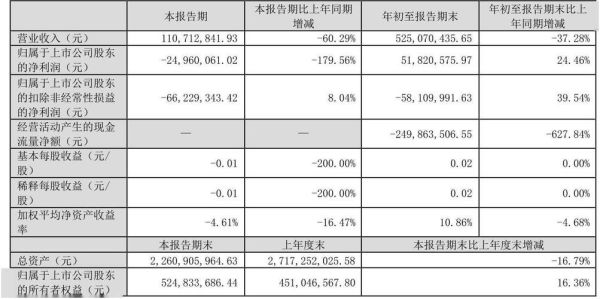 服装行业财务分析报告_如何提高利润率