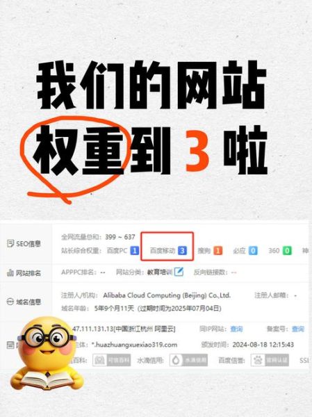 网站排名突然下降怎么办_如何快速恢复权重