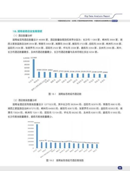 2024酒店行业现状分析_酒店业如何提升入住率