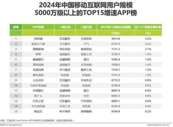 互联网行业年度报告_2024年流量增长靠什么