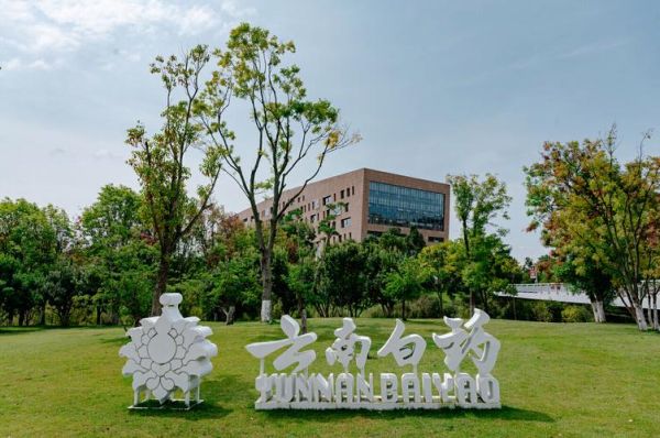 云南白药前景怎么样_云南白药未来增长点在哪