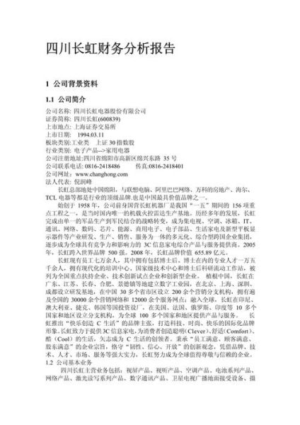 财务分析报告怎么写_财务分析报告模板下载