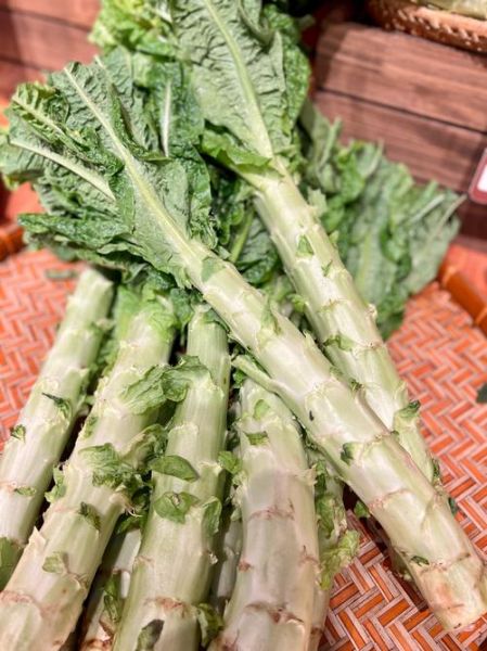 有机蔬菜前景怎么样_有机蔬菜赚钱吗