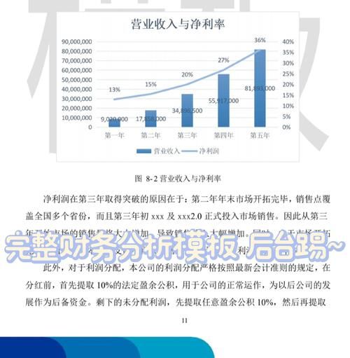 软件行业财务分析怎么做_如何提高毛利率