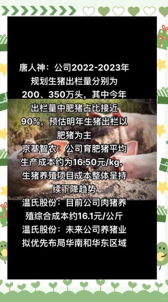 猪饲料行业前景怎么样_2024年养猪还能赚钱吗