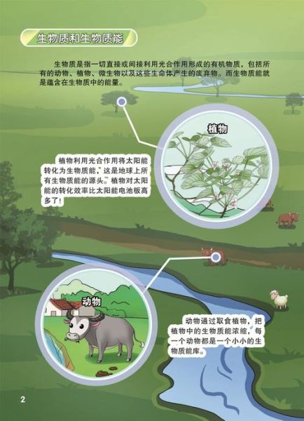 生物质能源发展前景怎么样_生物质能源有哪些优势