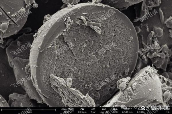 电镜前景怎么样_电镜行业未来五年发展预测