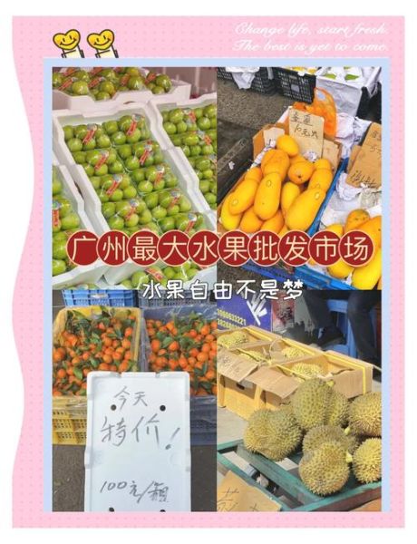 水果批发哪里便宜_水果店如何进货
