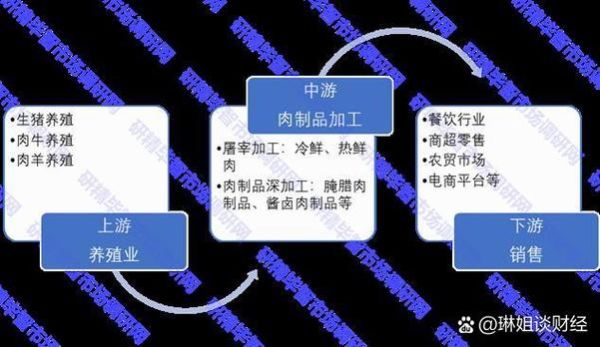 肉食品行业前景怎么样_2024年值得投资吗