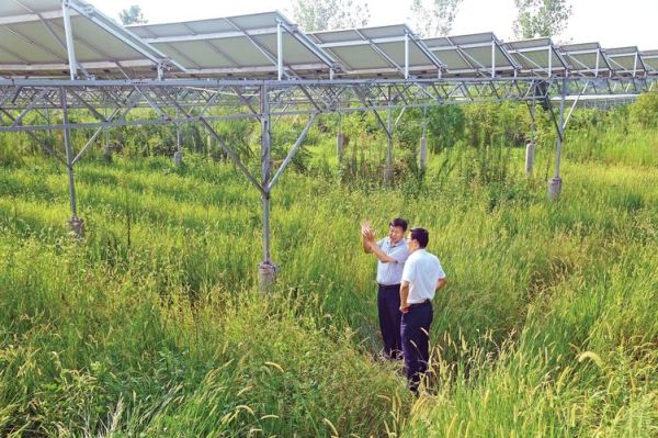 恒丰前景怎么样_恒丰前景值得投资吗