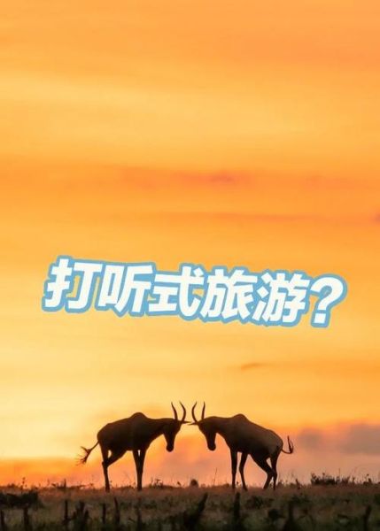 年轻人为什么喜欢自由行_自由行省钱技巧