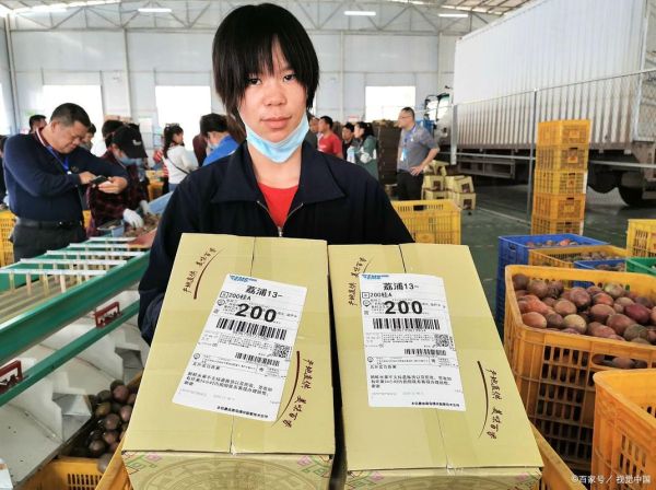 有机农业发展前景_有机农业赚钱吗