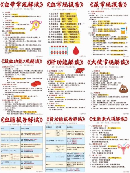 体检前注意事项有哪些_体检报告怎么看