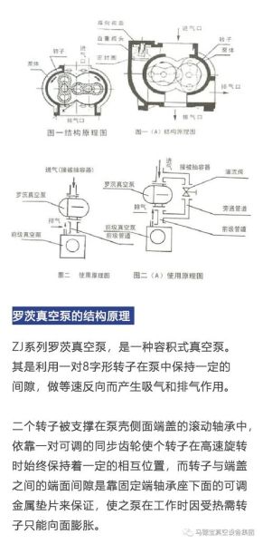 真空泵选型_真空泵工作原理