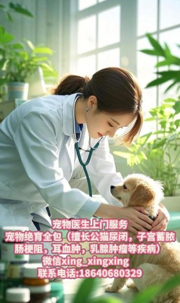 宠物医生前景怎么样_宠物医生收入高吗