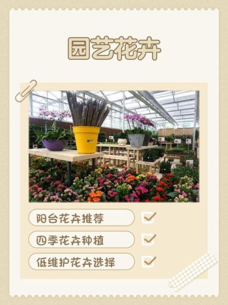 2017花卉种植前景如何_花卉种植赚钱吗