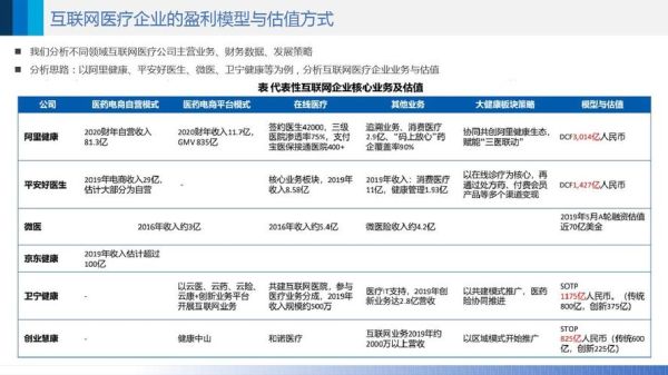 互联网医疗平台如何盈利_互联网医疗盈利模式有哪些