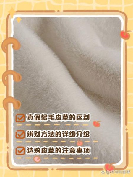 皮草怎么保养_真皮草和假皮草区别