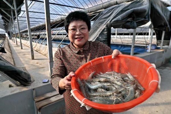 南美白对虾养殖前景怎么样_2024年还能赚钱吗