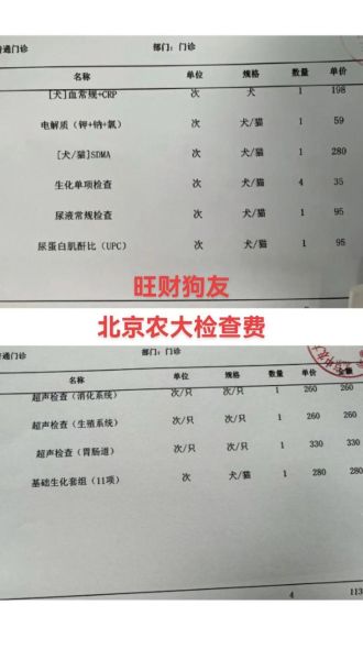 宠物医院哪家好_宠物看病多少钱