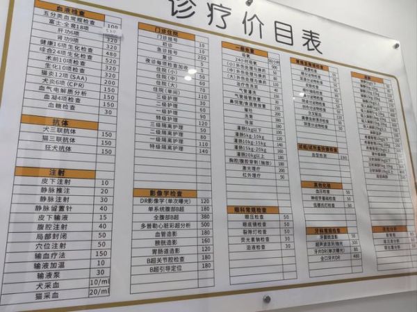 宠物医院哪家好_宠物看病多少钱