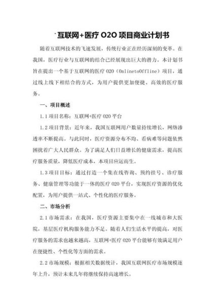 互联网医疗项目计划书怎么写_互联网医疗盈利模式有哪些